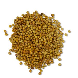 ROASTED SOYBEAN APPLE SCENT