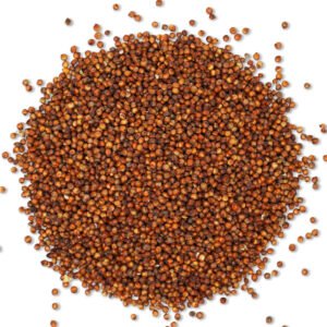 SORGHUM