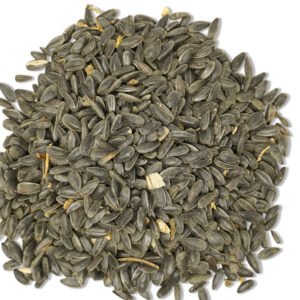 SUNFLOWER SEED
