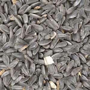 SUNFLOWER SEED