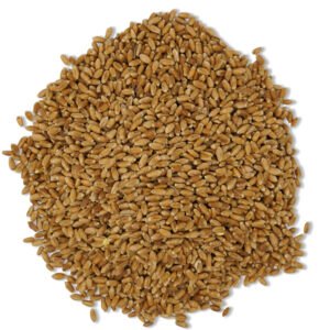 Whole Oats