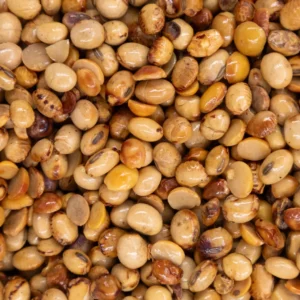 ROASTED SOYBEAN APPLE SCENT