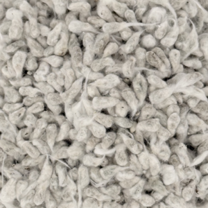COTTONSEED 1,000 LBS