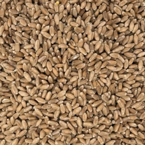 Whole Oats