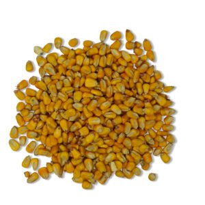 Yellow Corn